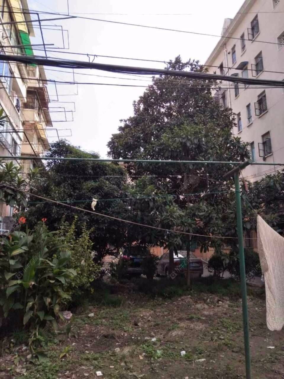 上海宝通路46弄小区_小牛看房