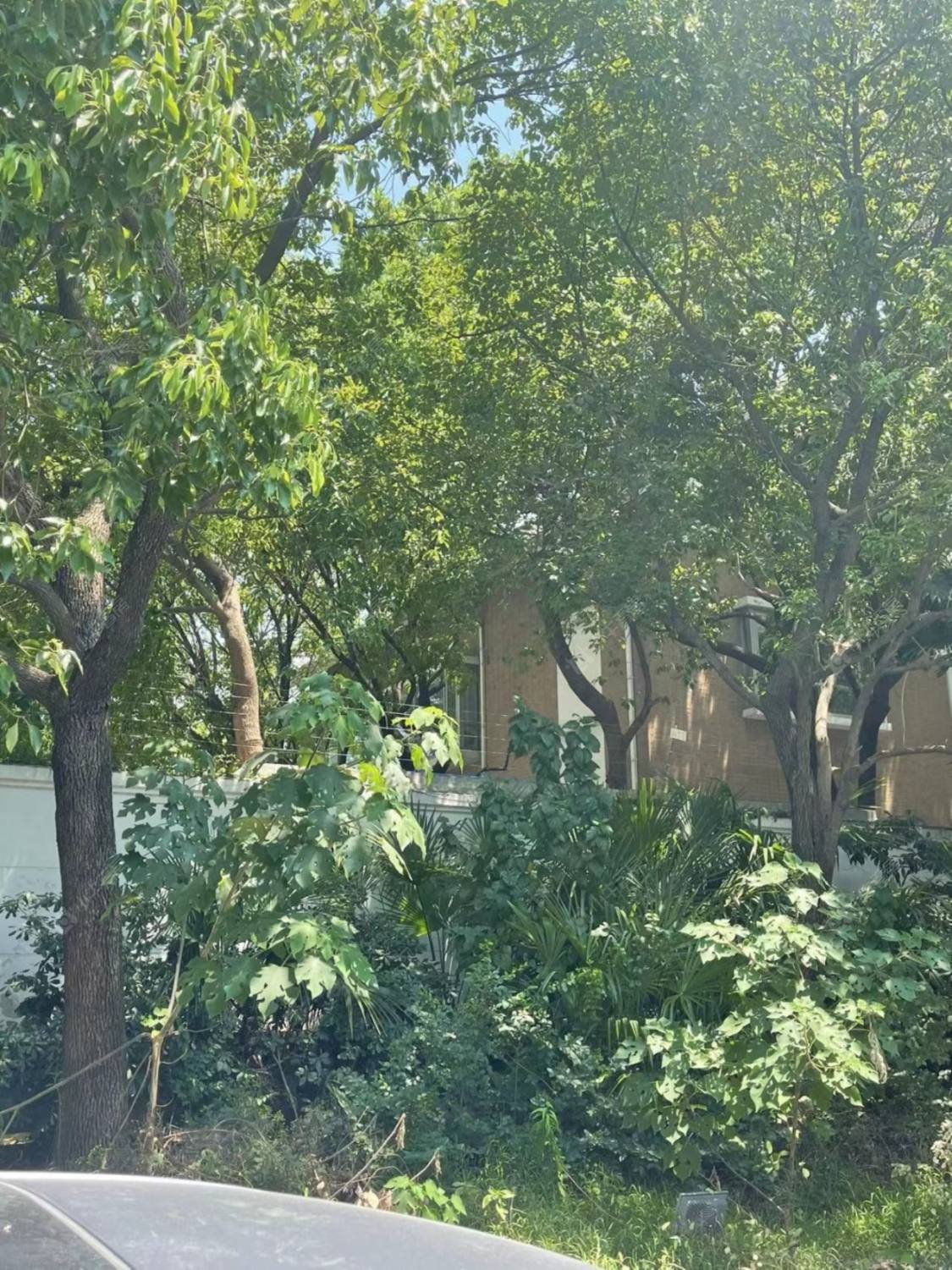 上海夏都花园小区_夏都花园小区null