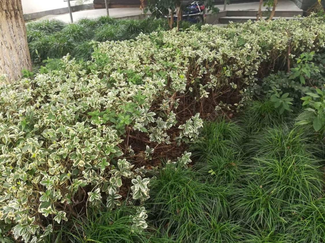 上海洞北小区小区_洞北小区小区null