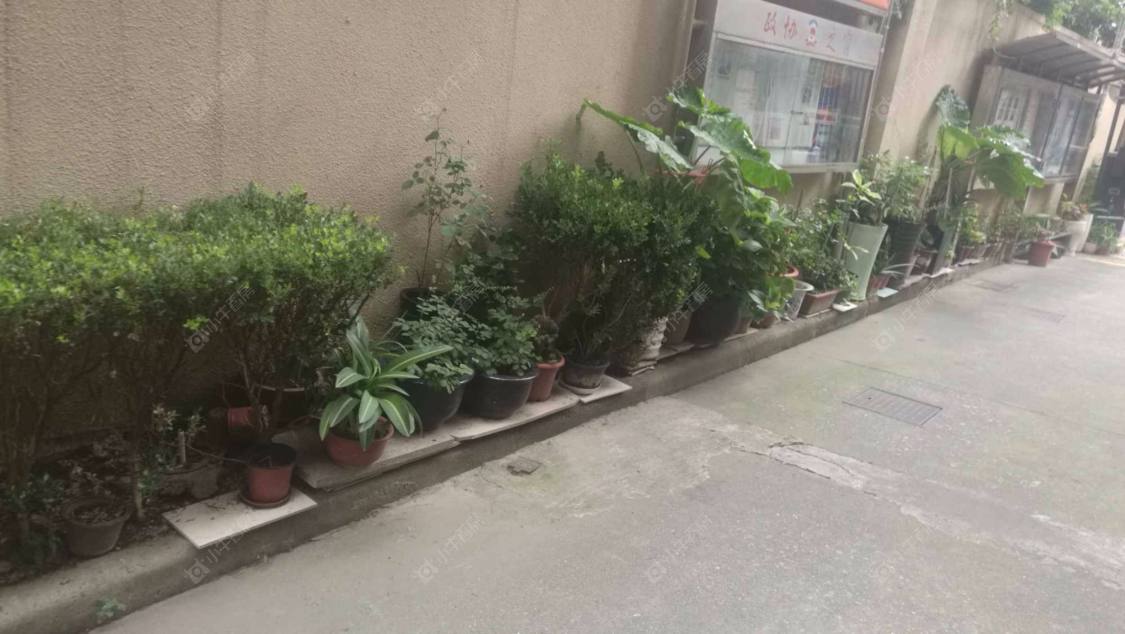 上海绿园六村小区_绿园六村小区null