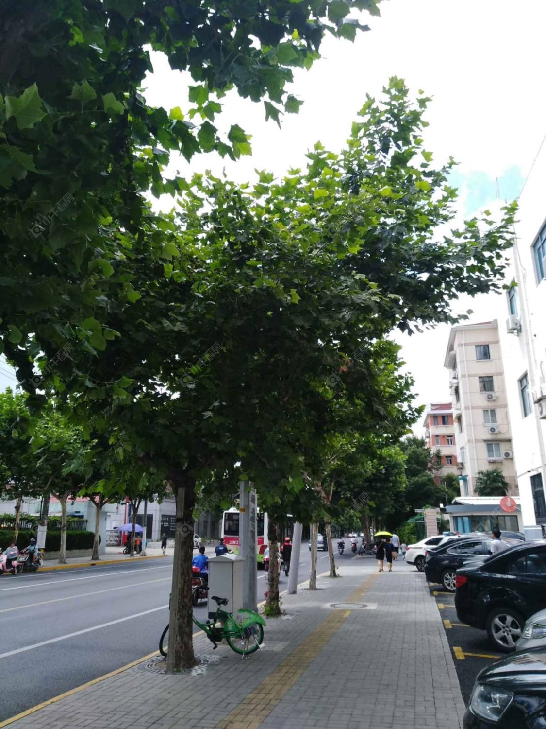 上海车站南路291弄小区_车站南路291弄小区null