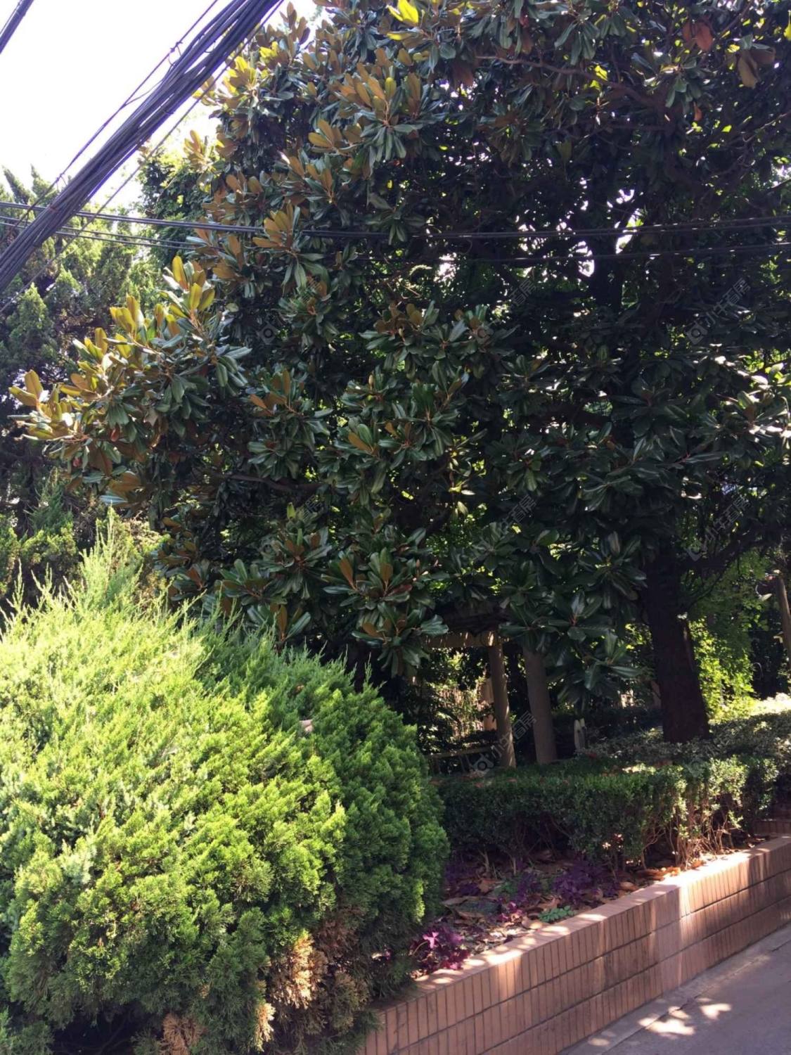 上海上方花园小区_上方花园小区null