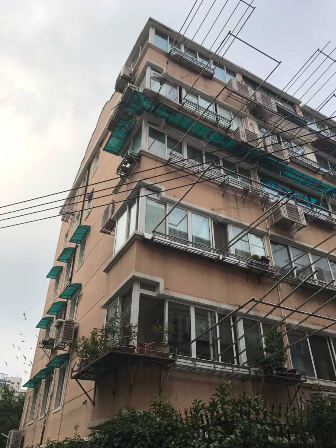 上海南洋小区540弄小区_南洋小区540弄小区null