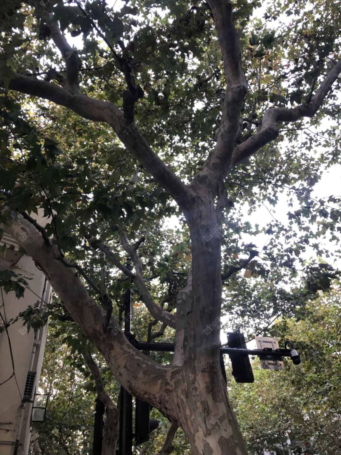 上海湖南路311弄小区_湖南路311弄小区null