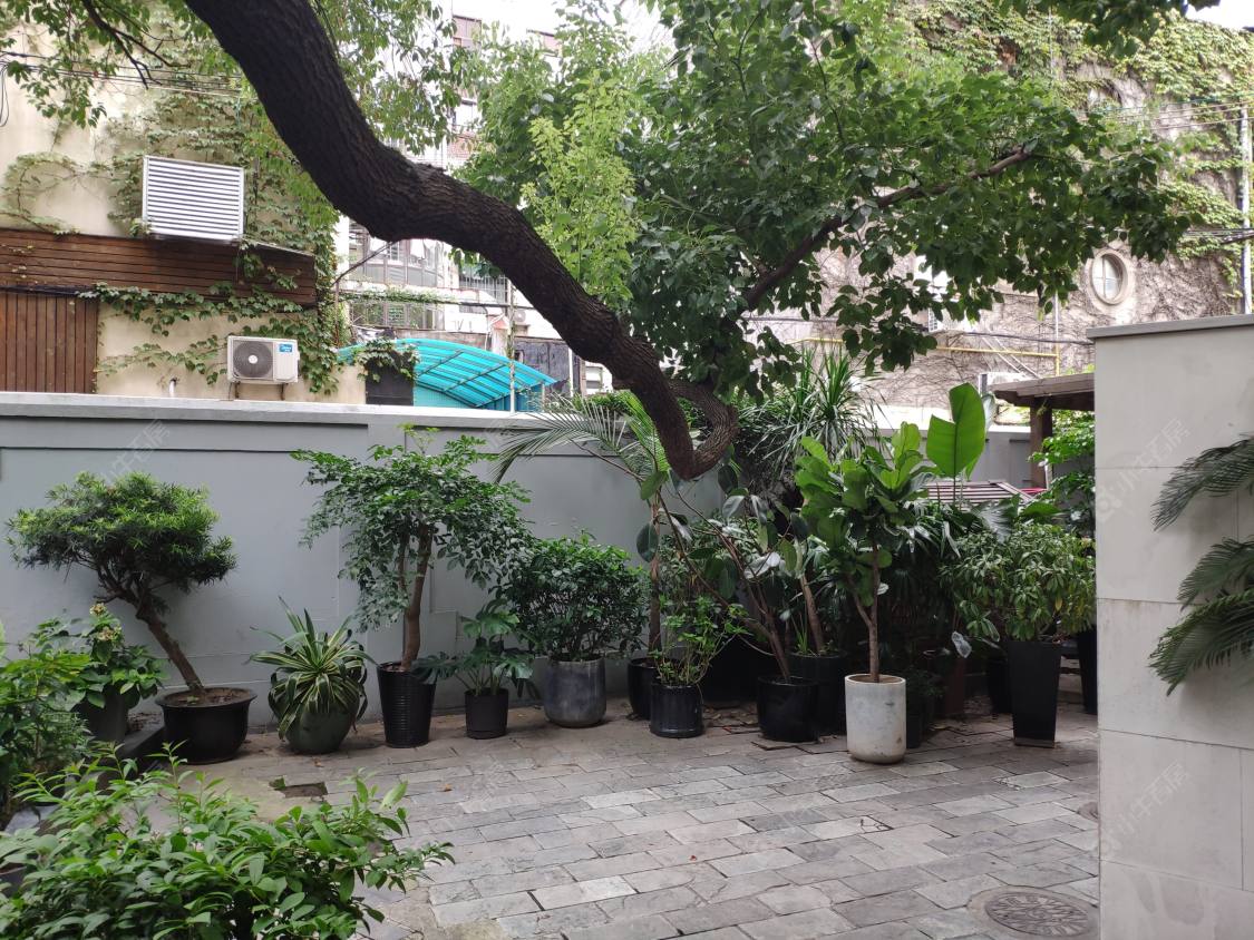 上海永嘉路477号小区_永嘉路477号小区实景图