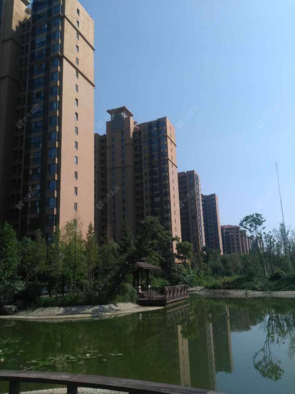 新虹桥首府封面图_小牛看房