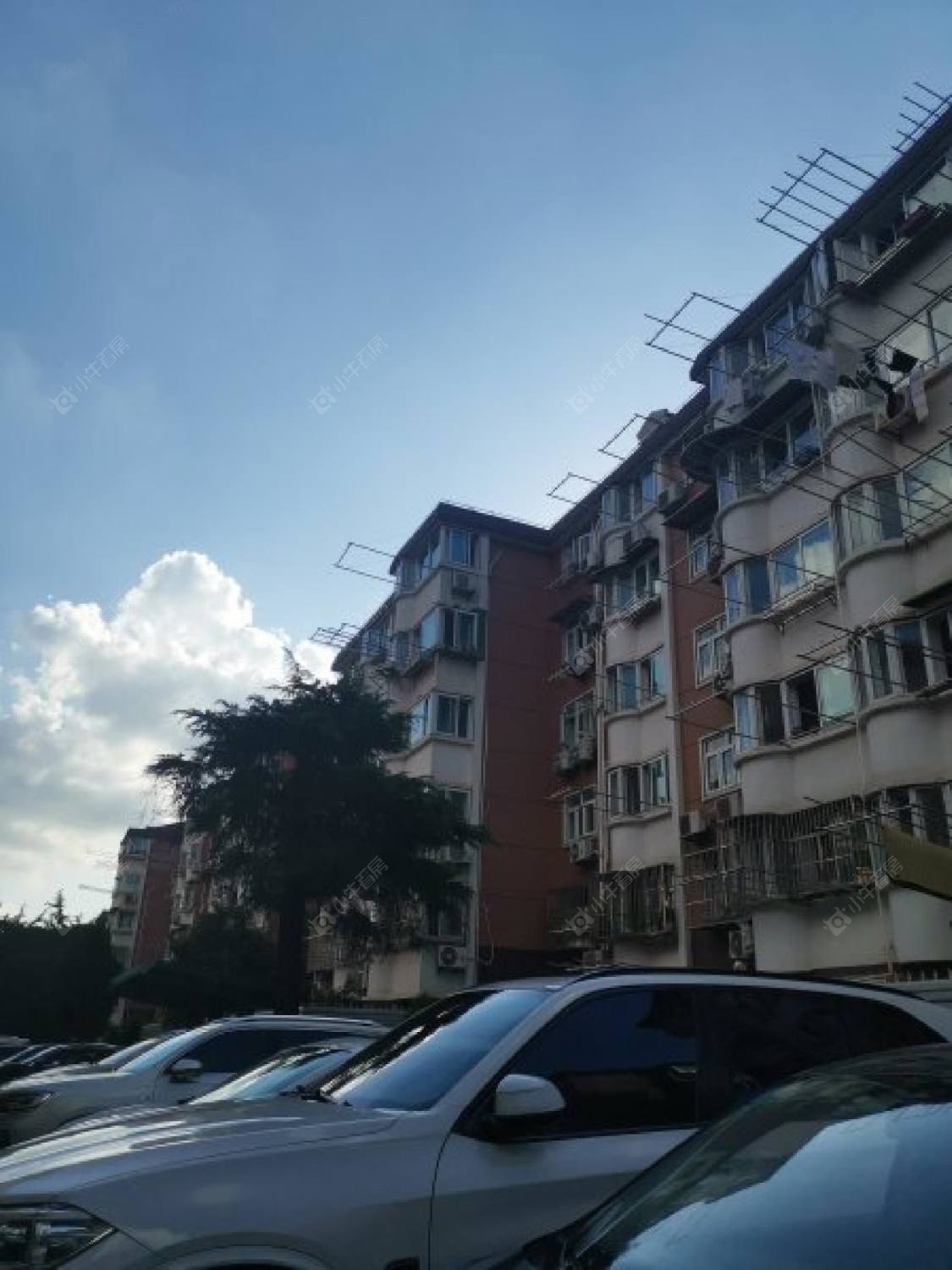 松岳名都封面图_小牛看房