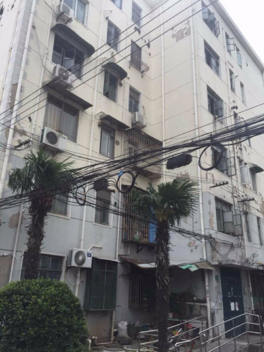 上海金鹰华庭别墅小区_金鹰华庭别墅小区null