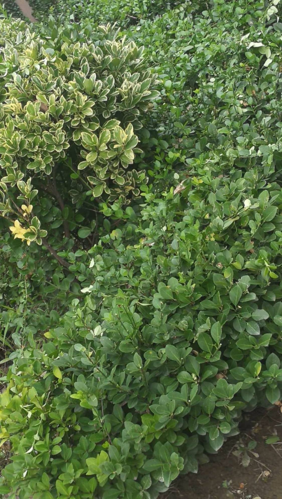 上海聚缘北庭小区_小牛看房