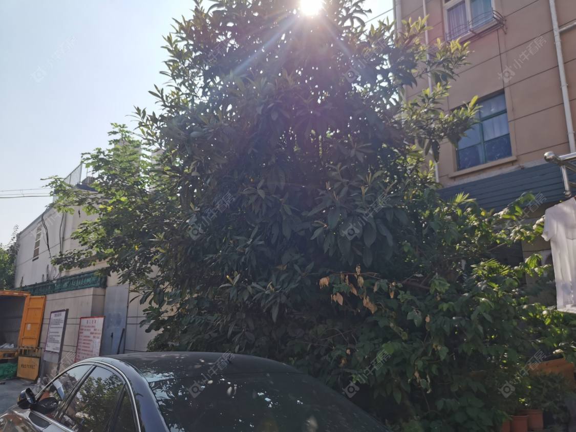 上海交通路（静安）小区_交通路（静安）小区null