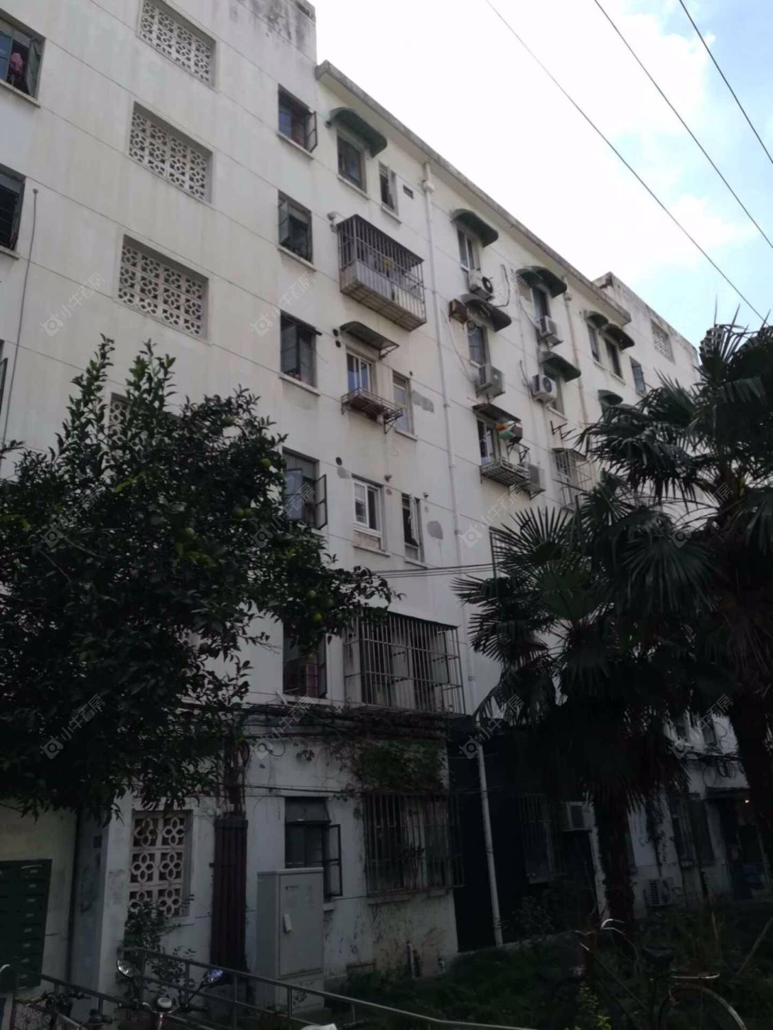 上海源竹小区北区小区_源竹小区北区小区null