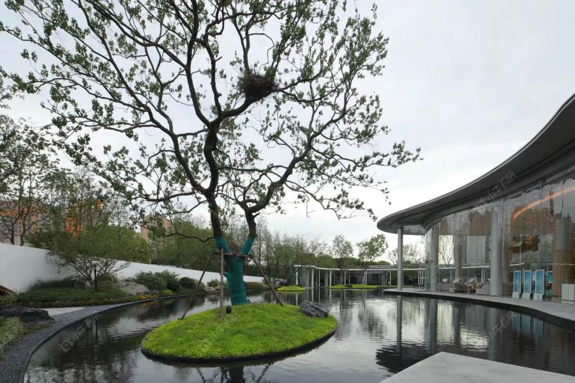 上海虹桥灿耀星城小区_虹桥灿耀星城小区null