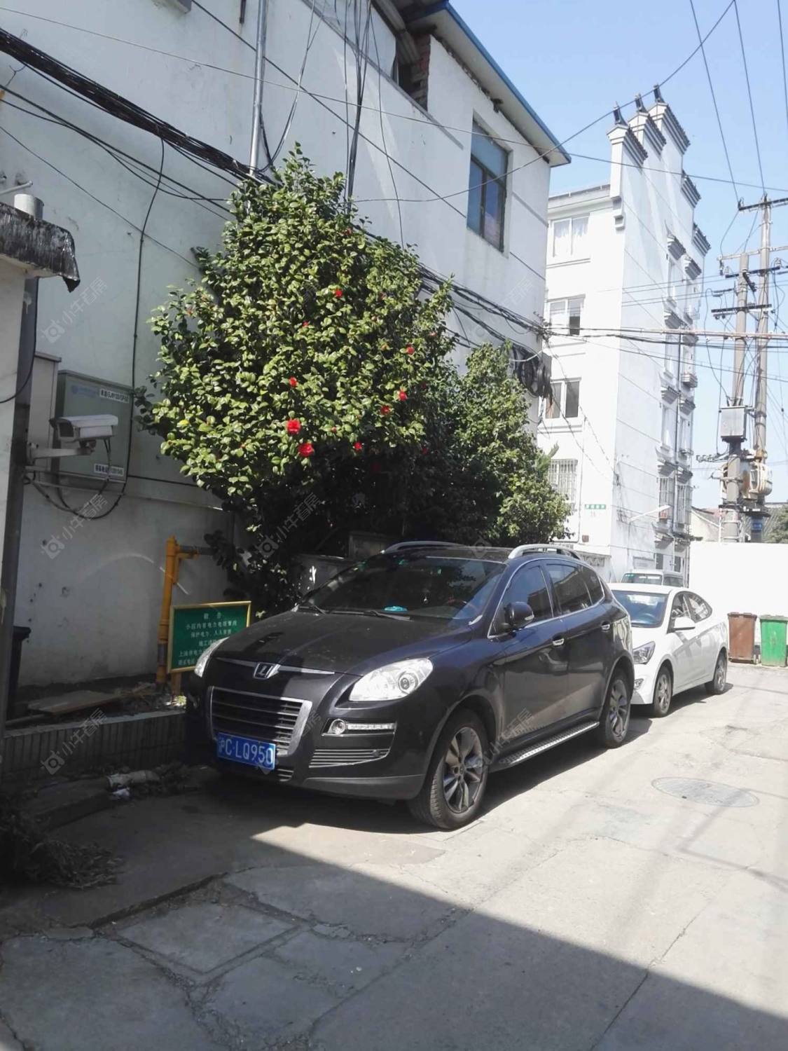 上海东湖新村小区_东湖新村小区null