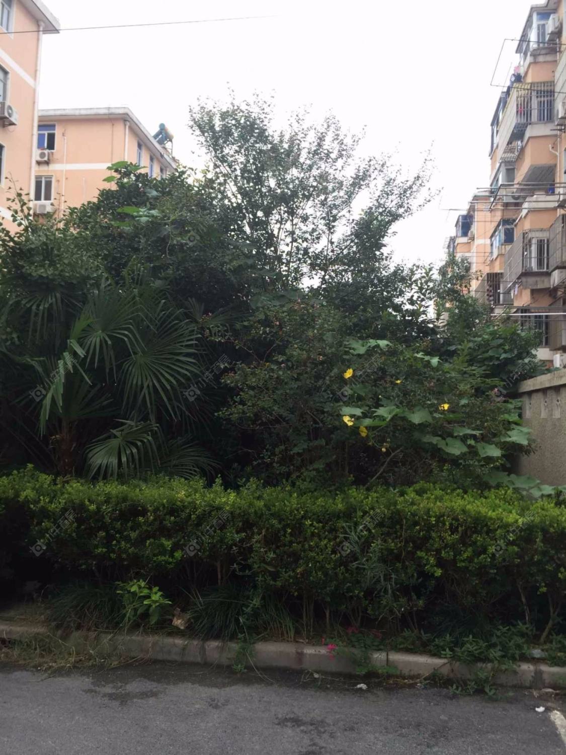 上海听潮四村小区_听潮四村小区null