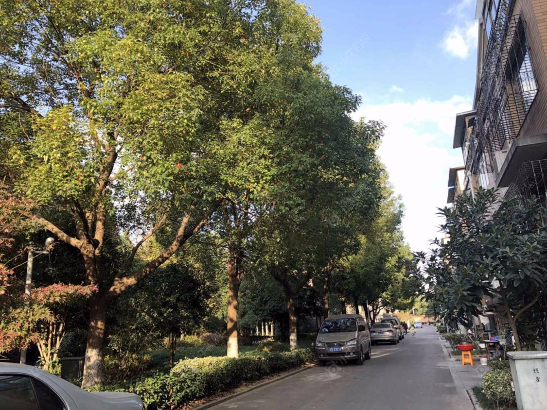 上海金亭花苑(松江)小区_金亭花苑(松江)小区null