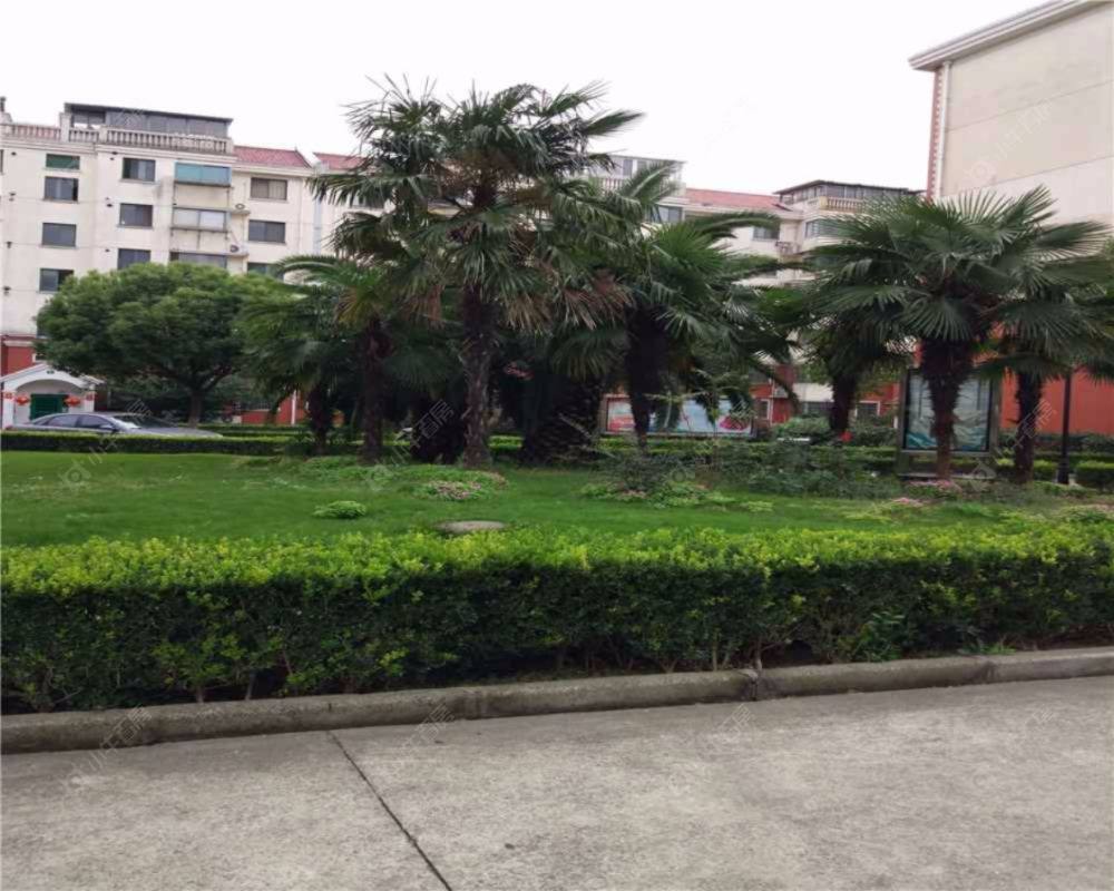 上海千秋嘉苑小区_千秋嘉苑小区null