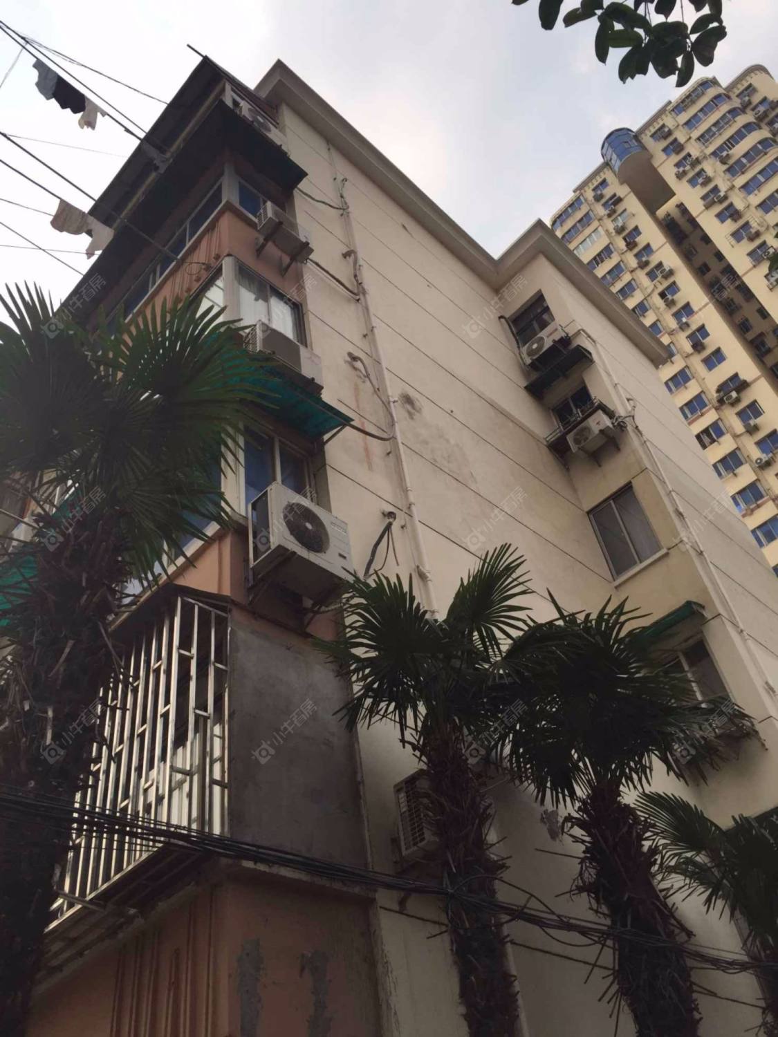 上海真北一街坊小区_真北一街坊小区null