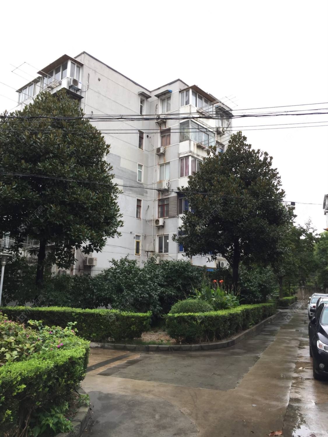 宝钢十一村封面图_小牛看房