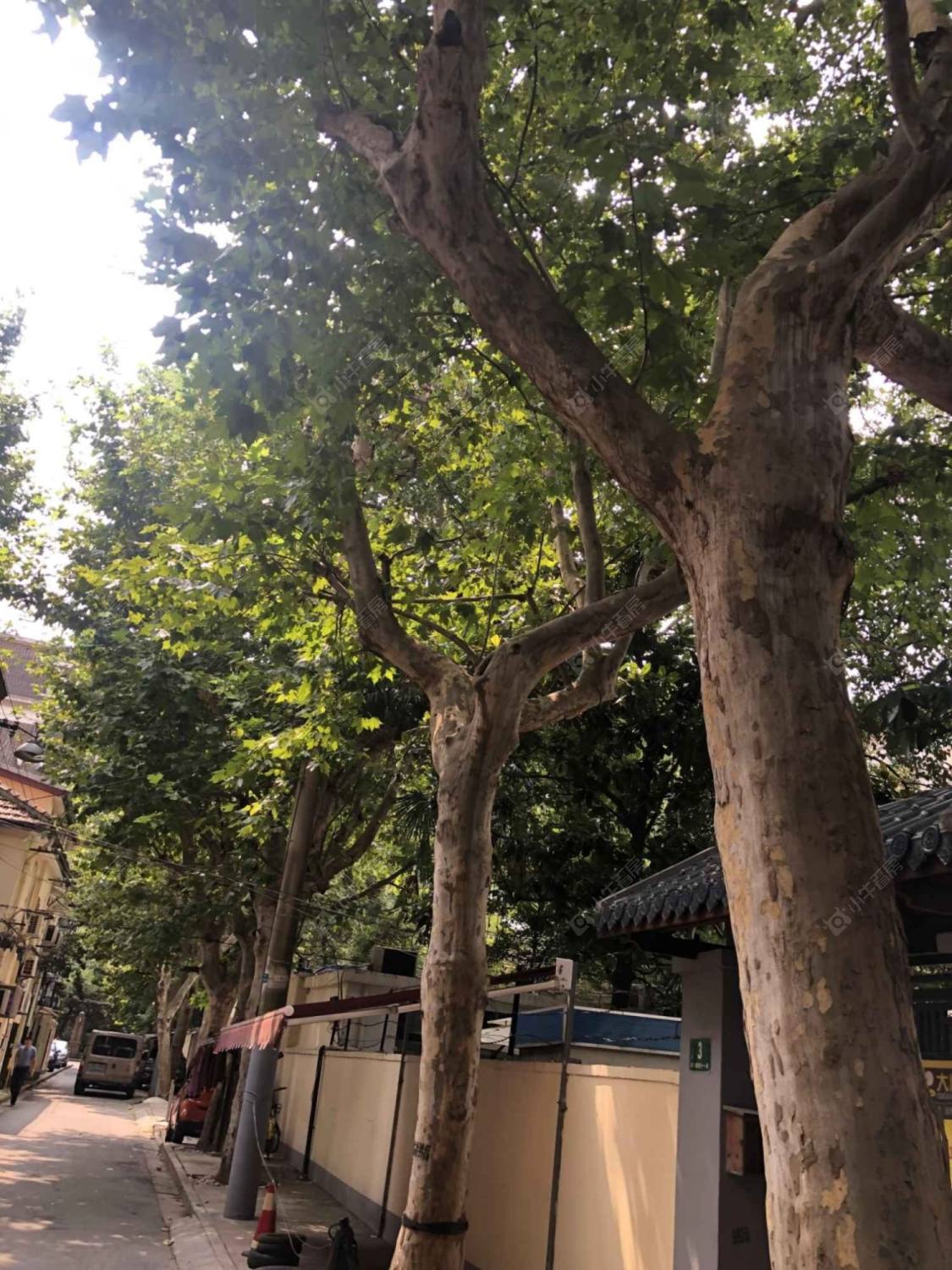 上海罗溪人才苑小区_罗溪人才苑小区null