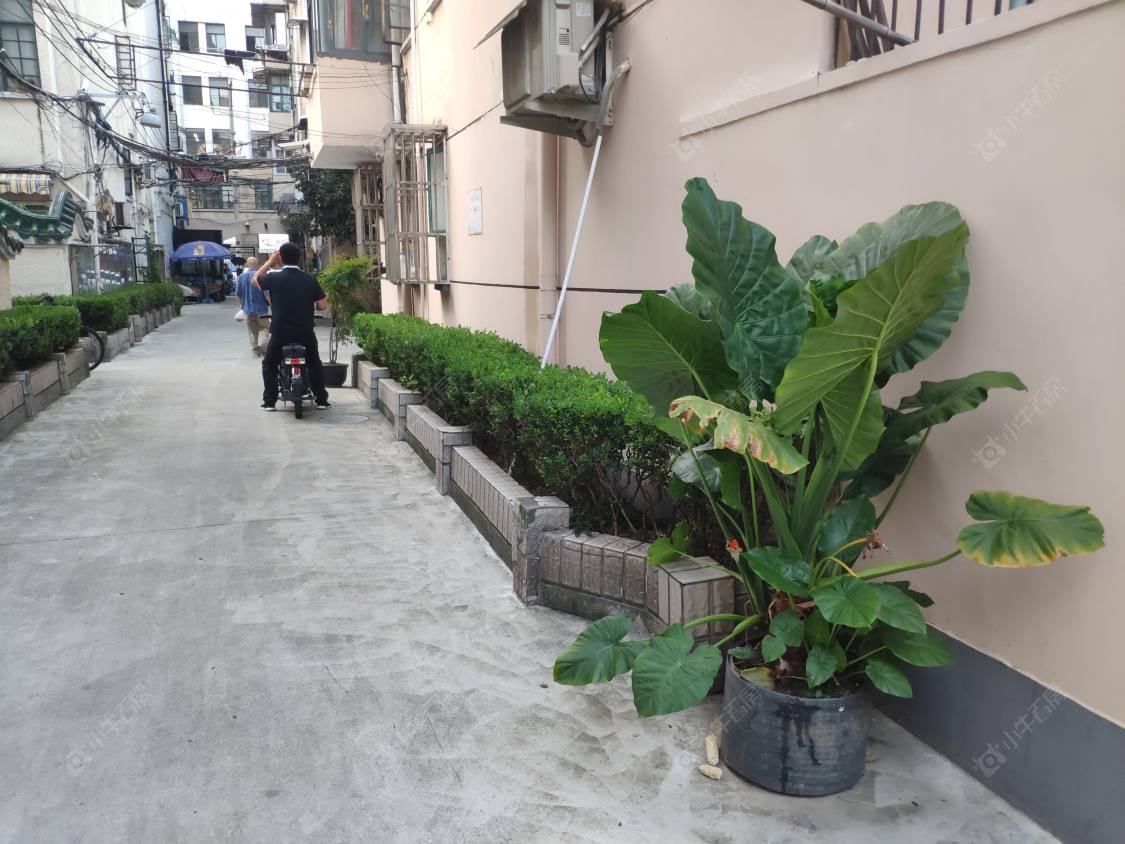 汉口路455弄封面图_小牛看房