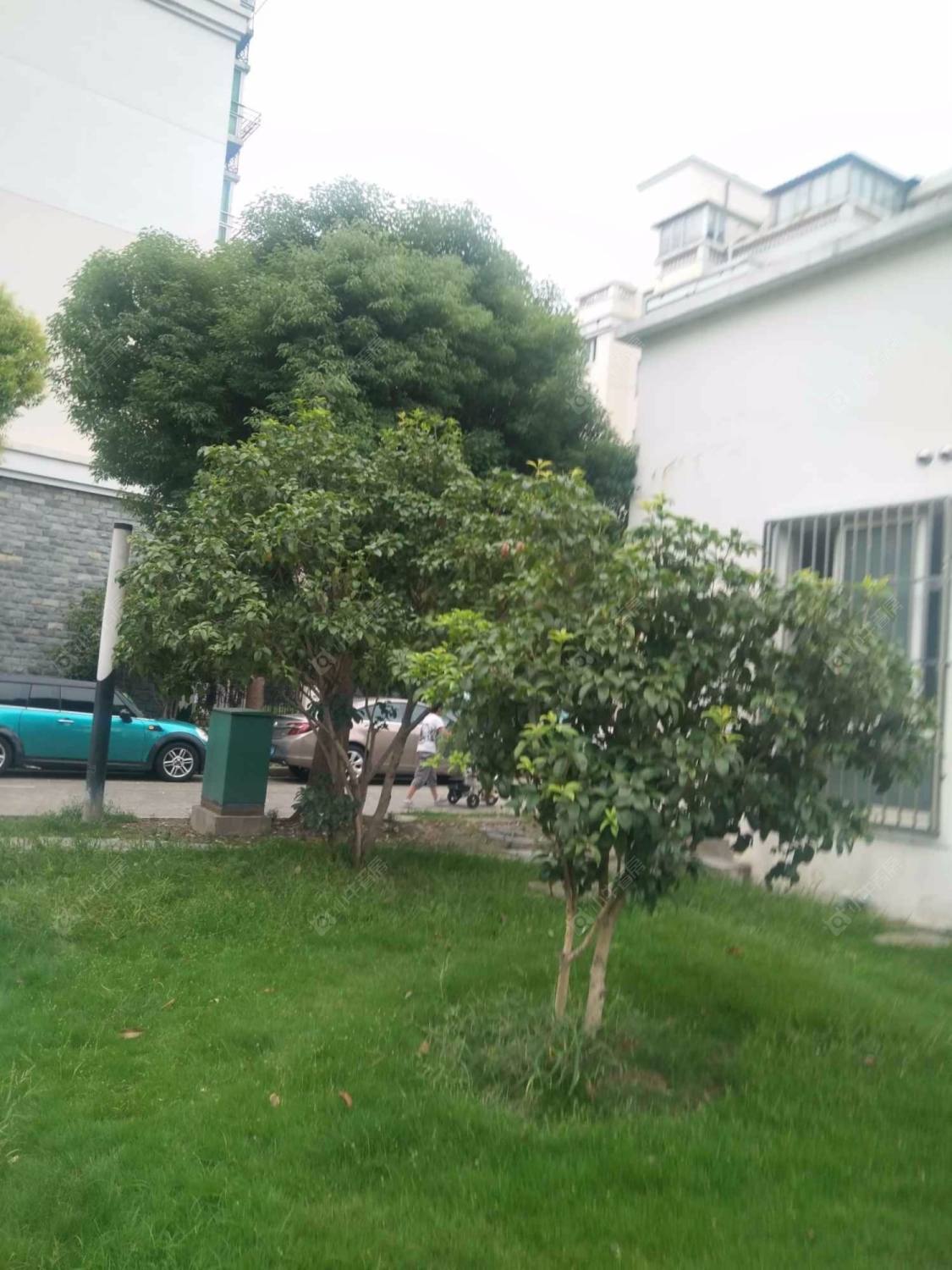 上海丽和苑小区_丽和苑小区null