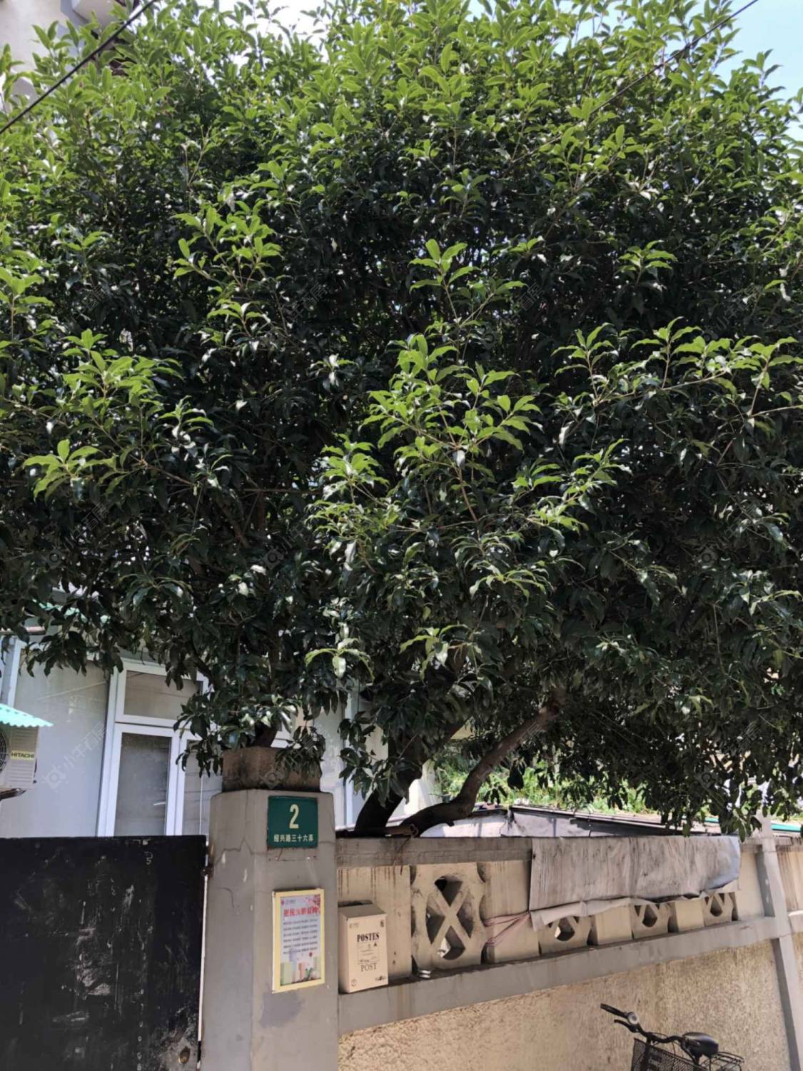 上海绍兴路36弄小区_绍兴路36弄小区null