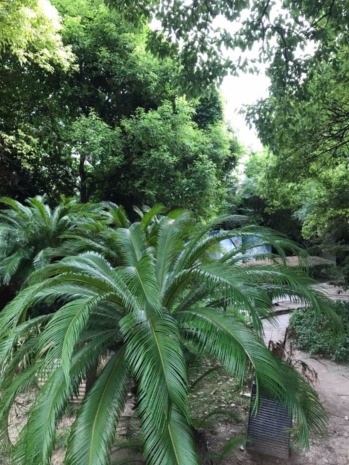 上海新格公寓小区_新格公寓小区null