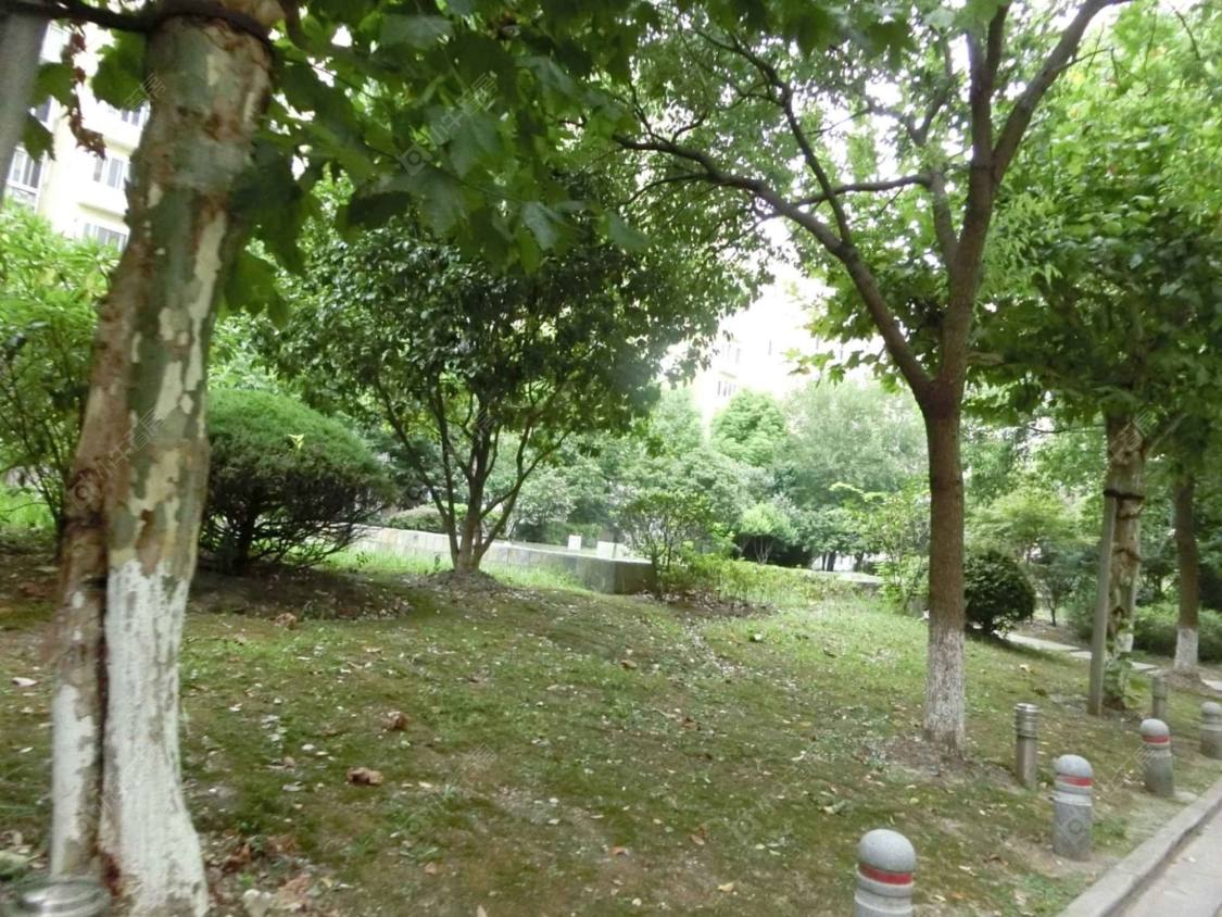 上海未名园小区_未名园小区null
