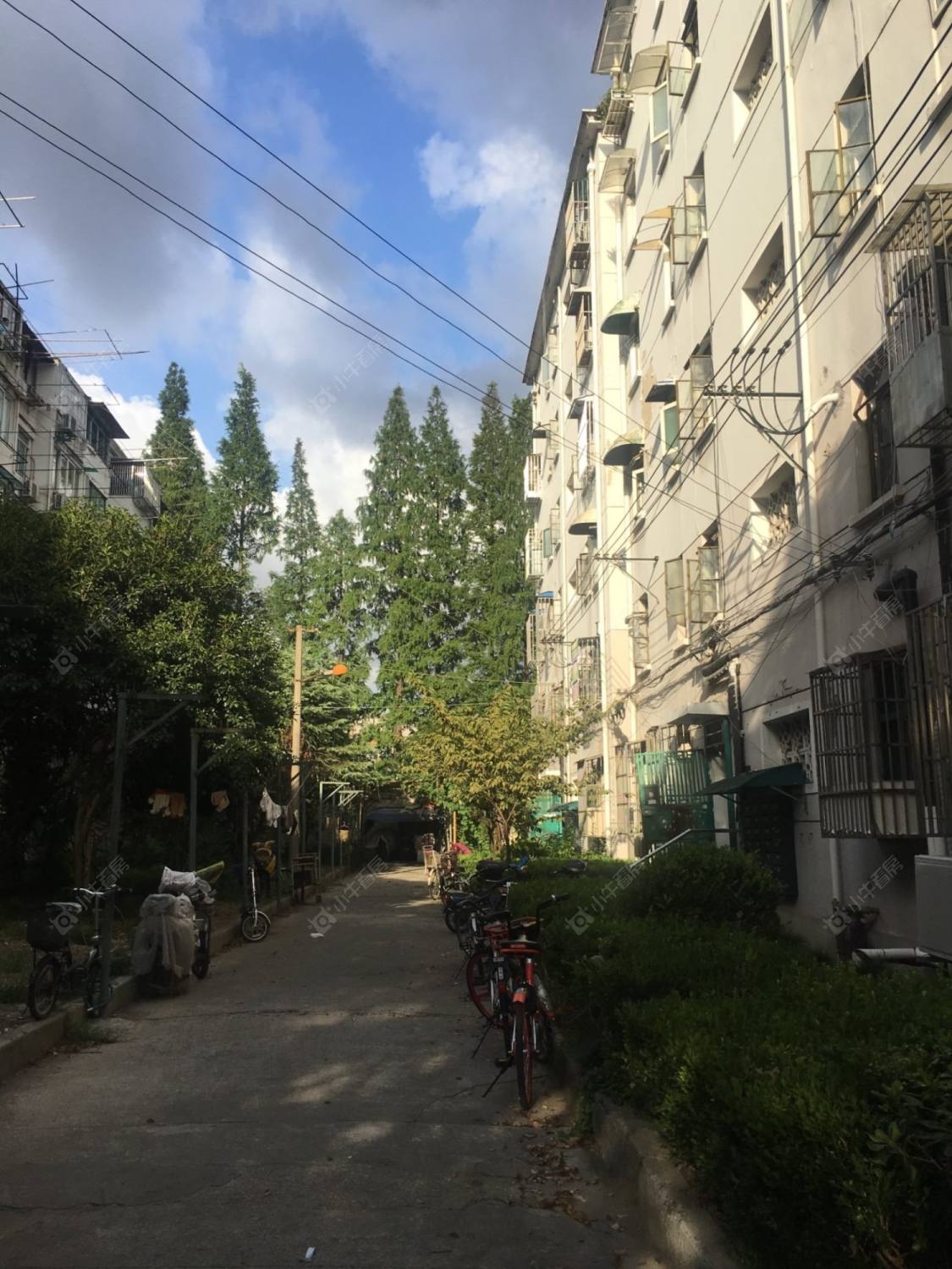 密云小区(杨浦)封面图_小牛看房