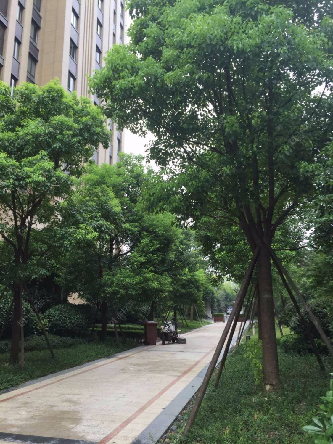 上海宝华海尚郡领小区_宝华海尚郡领小区null