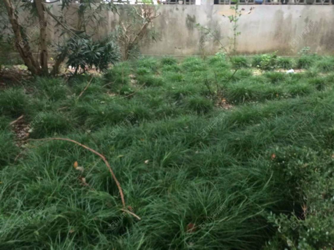 上海博一小区2支弄小区_博一小区2支弄小区null