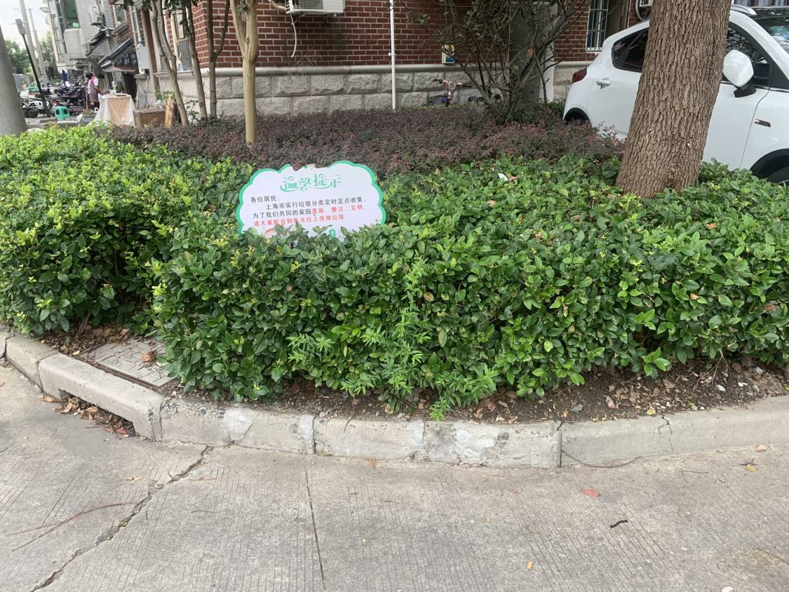 上海中心路小区小区_中心路小区小区null