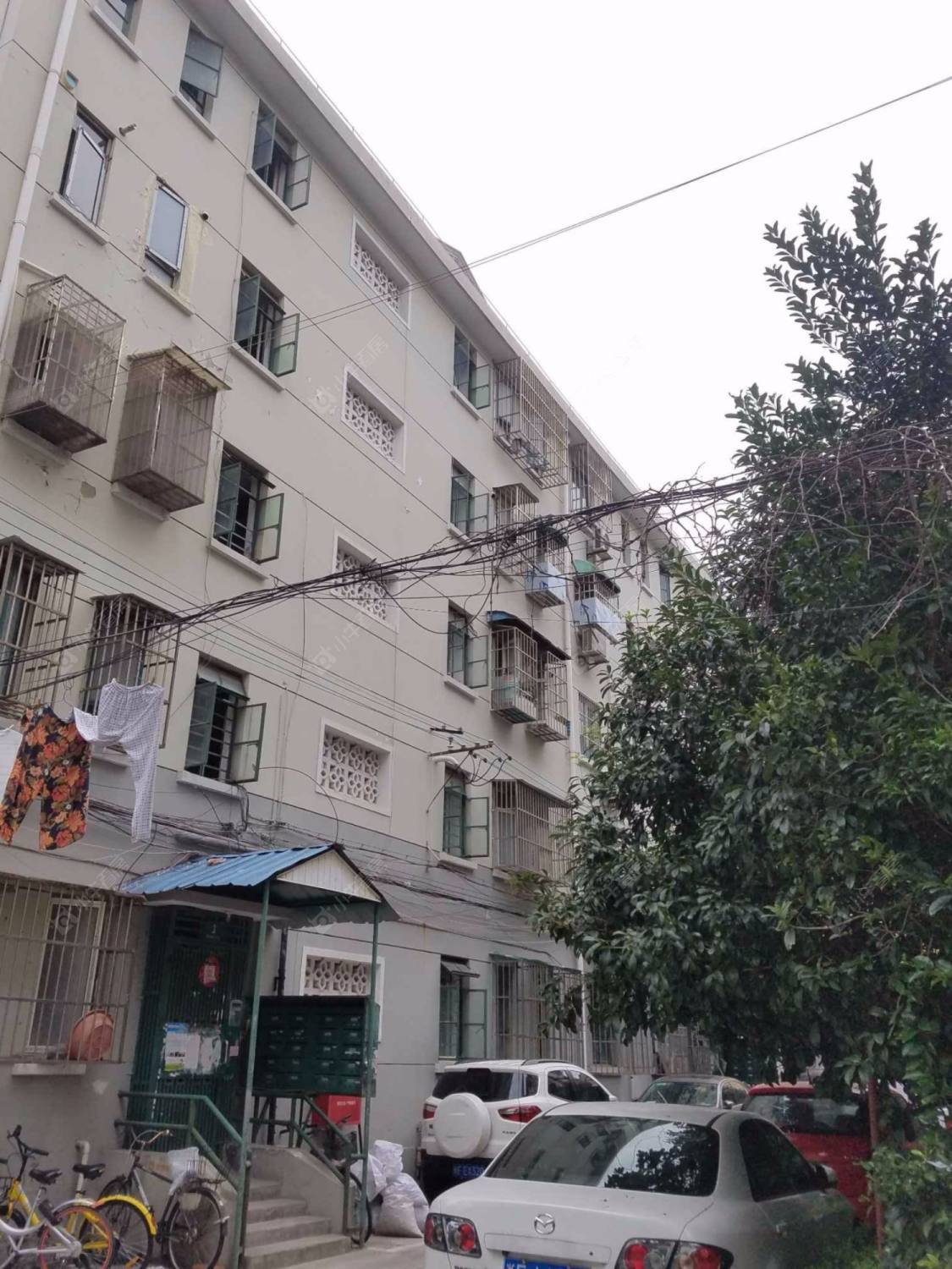 上海韶嘉路51弄小区_韶嘉路51弄小区null