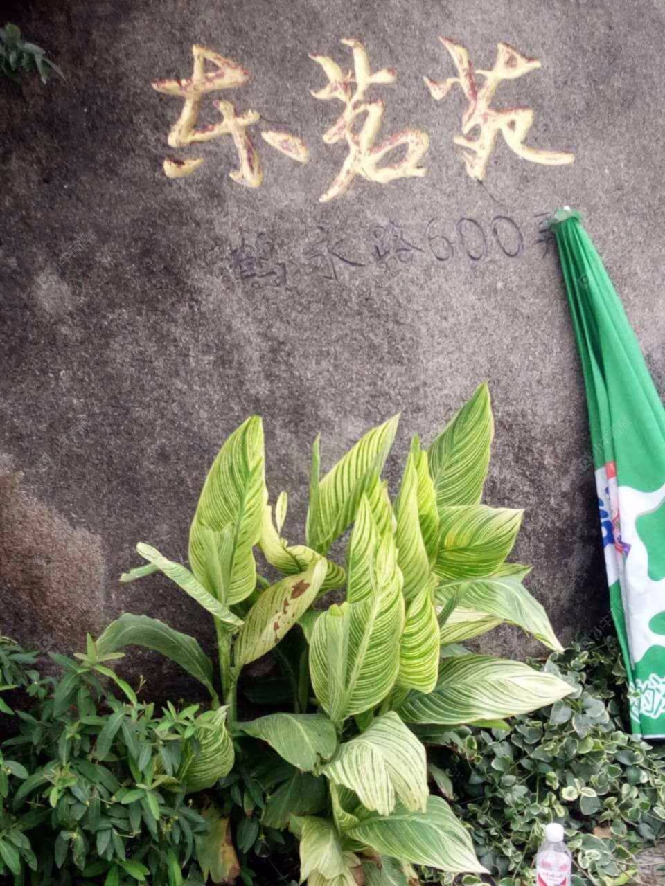 上海鹤沙航城东茗苑中区小区_鹤沙航城东茗苑中区小区null