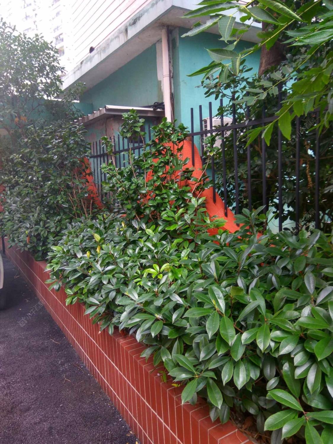 上海瑞金尊邸小区_瑞金尊邸小区null