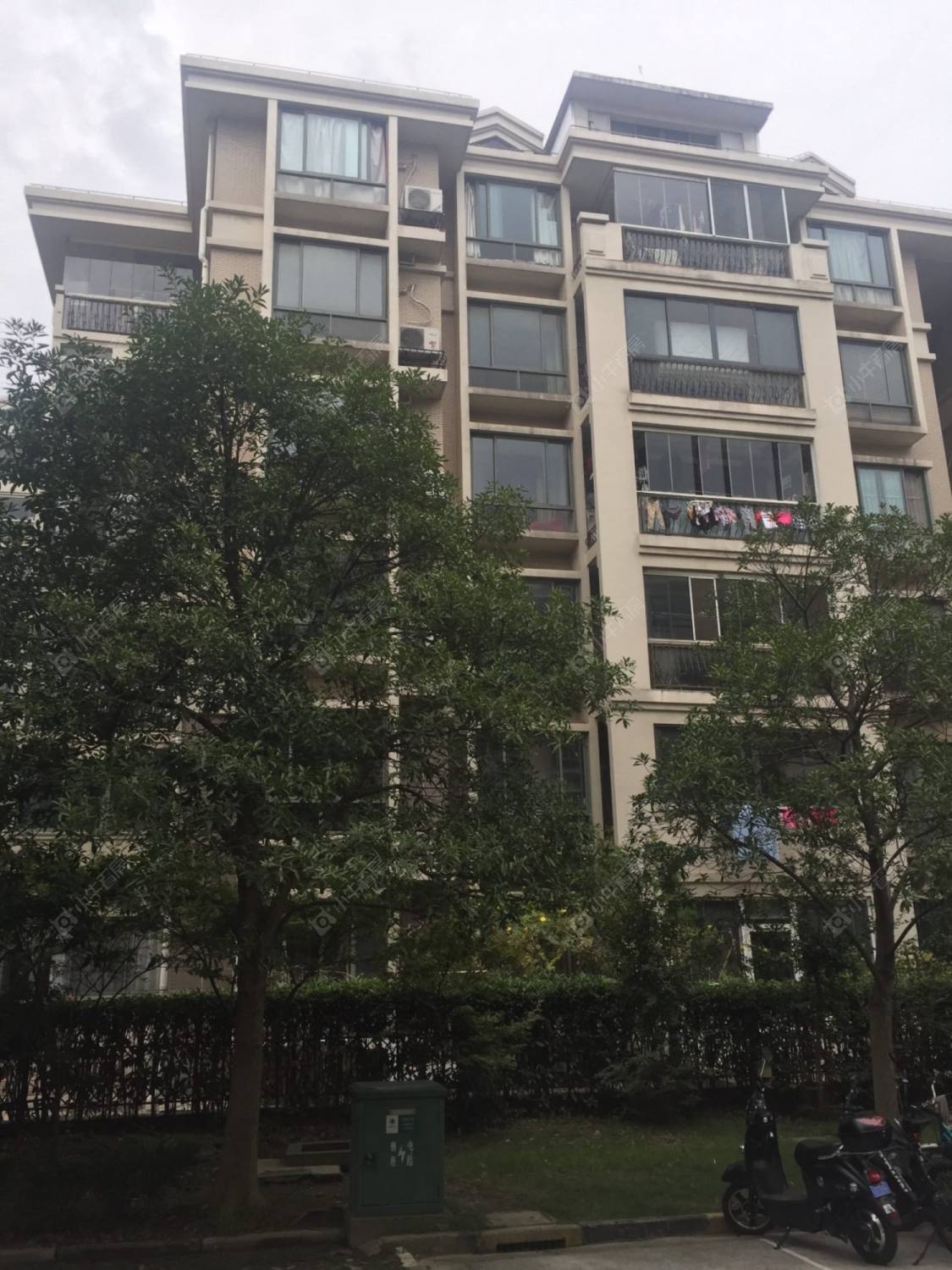 上海阳明国际花苑五期小区_阳明国际花苑五期小区null