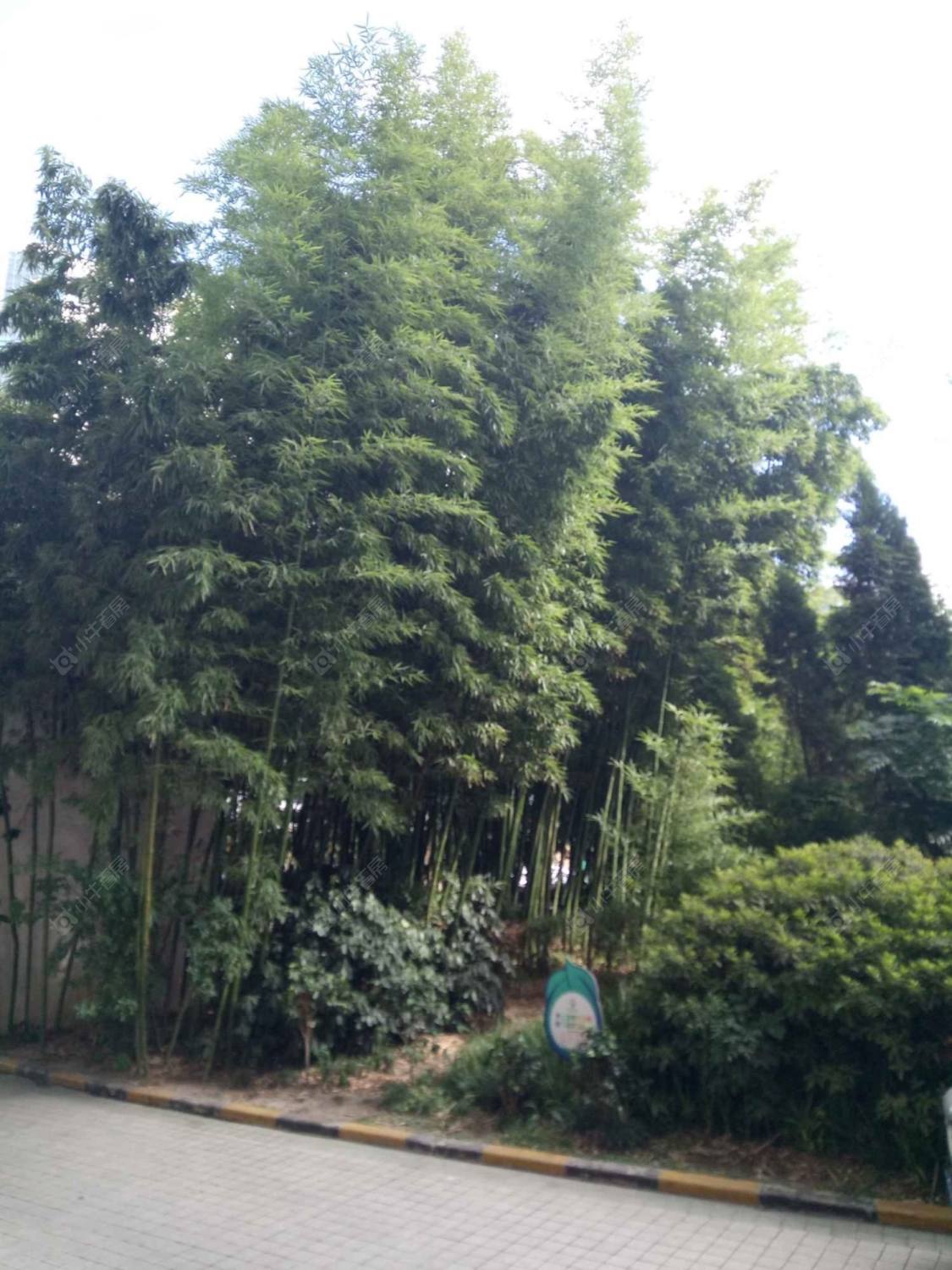 上海顺德苑小区_顺德苑小区null