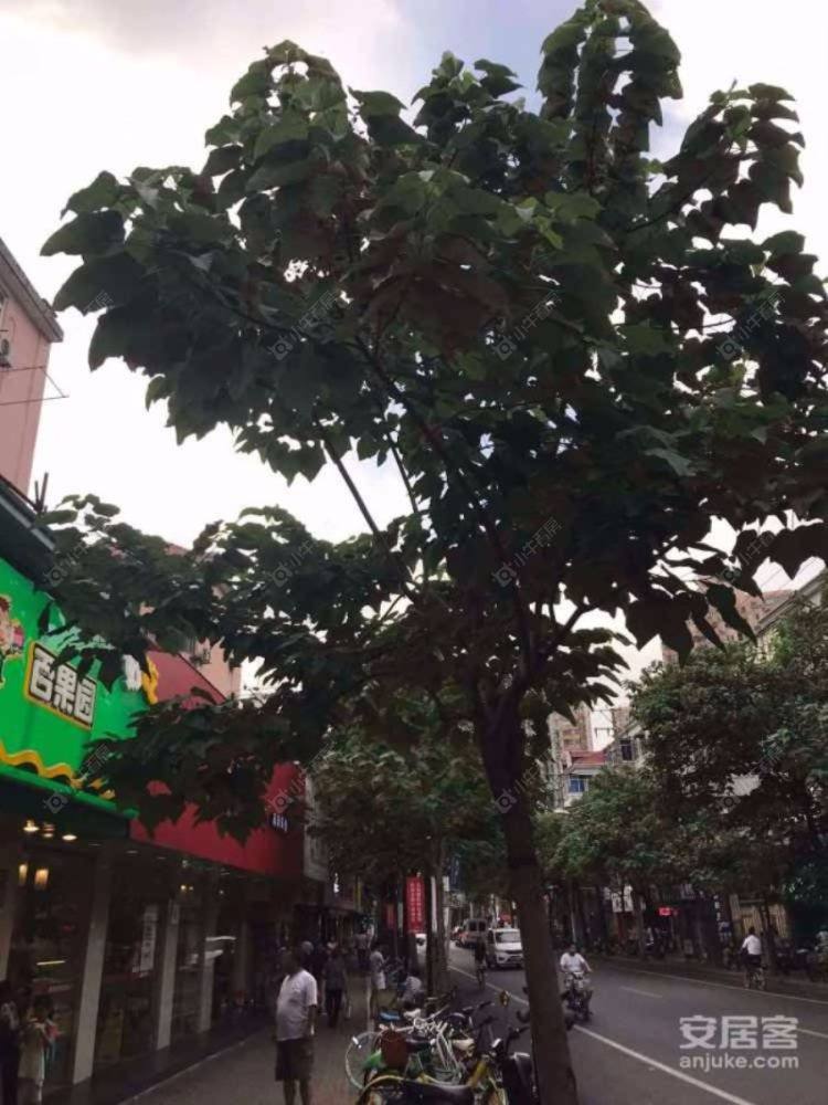 上海宜川路51弄小区_宜川路51弄小区null