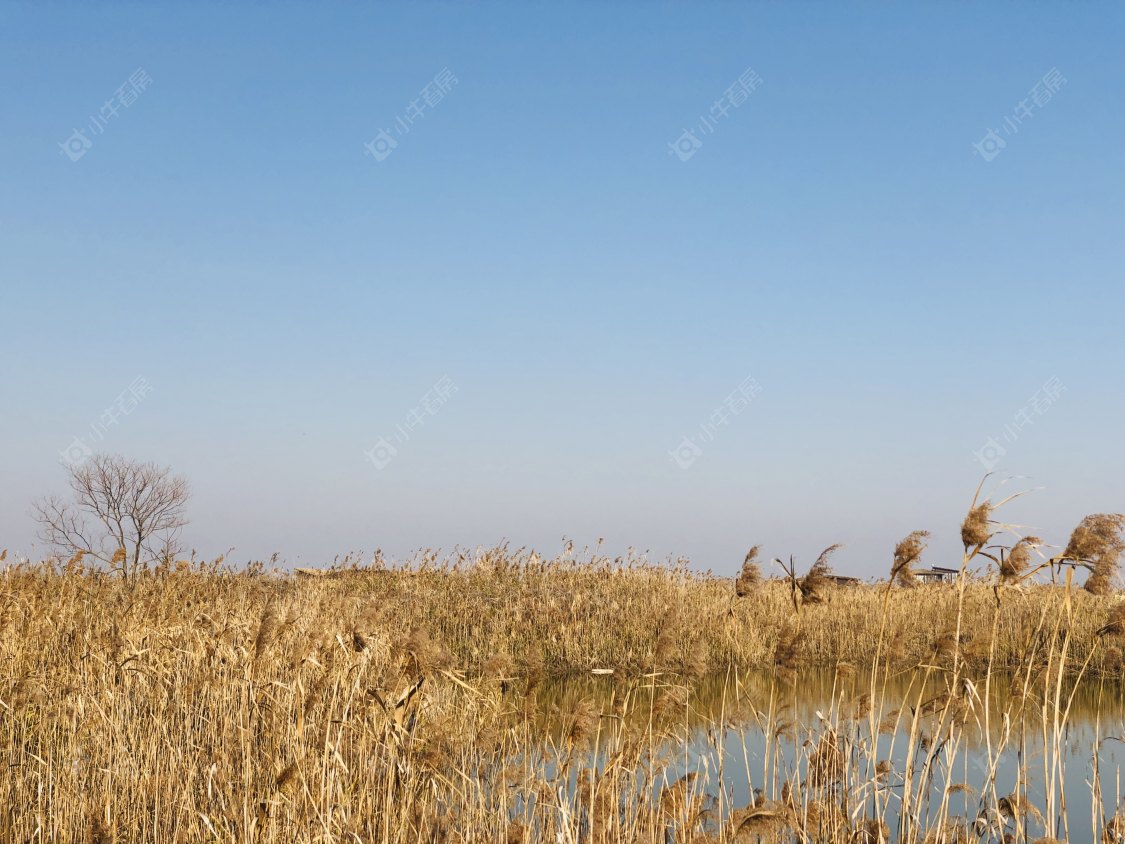 上海上实和风院小区_上实和风院小区null