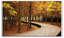 上海禹洲东滩雍禧小区_禹洲东滩雍禧小区null