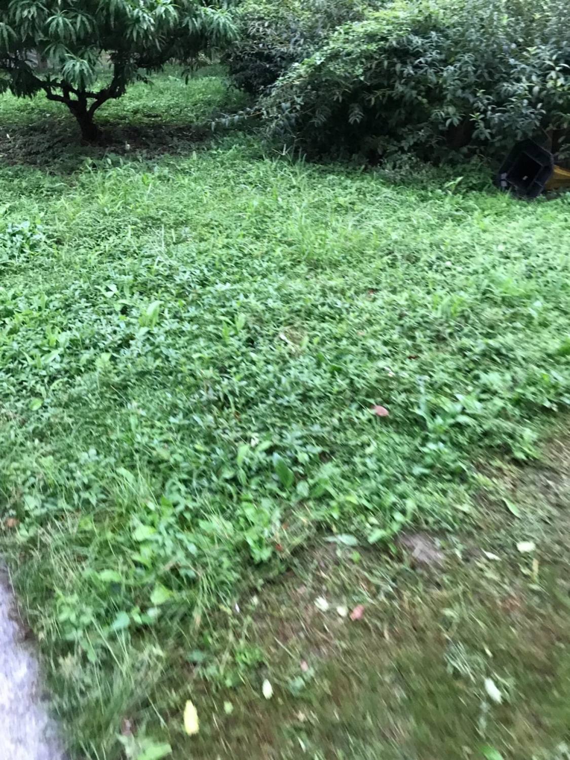 上海蔚蓝城市花园小区_蔚蓝城市花园小区null