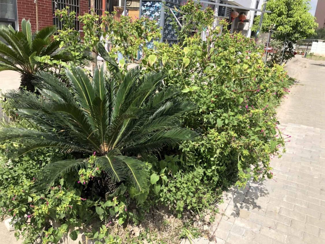 上海二联家园西区小区_二联家园西区小区null