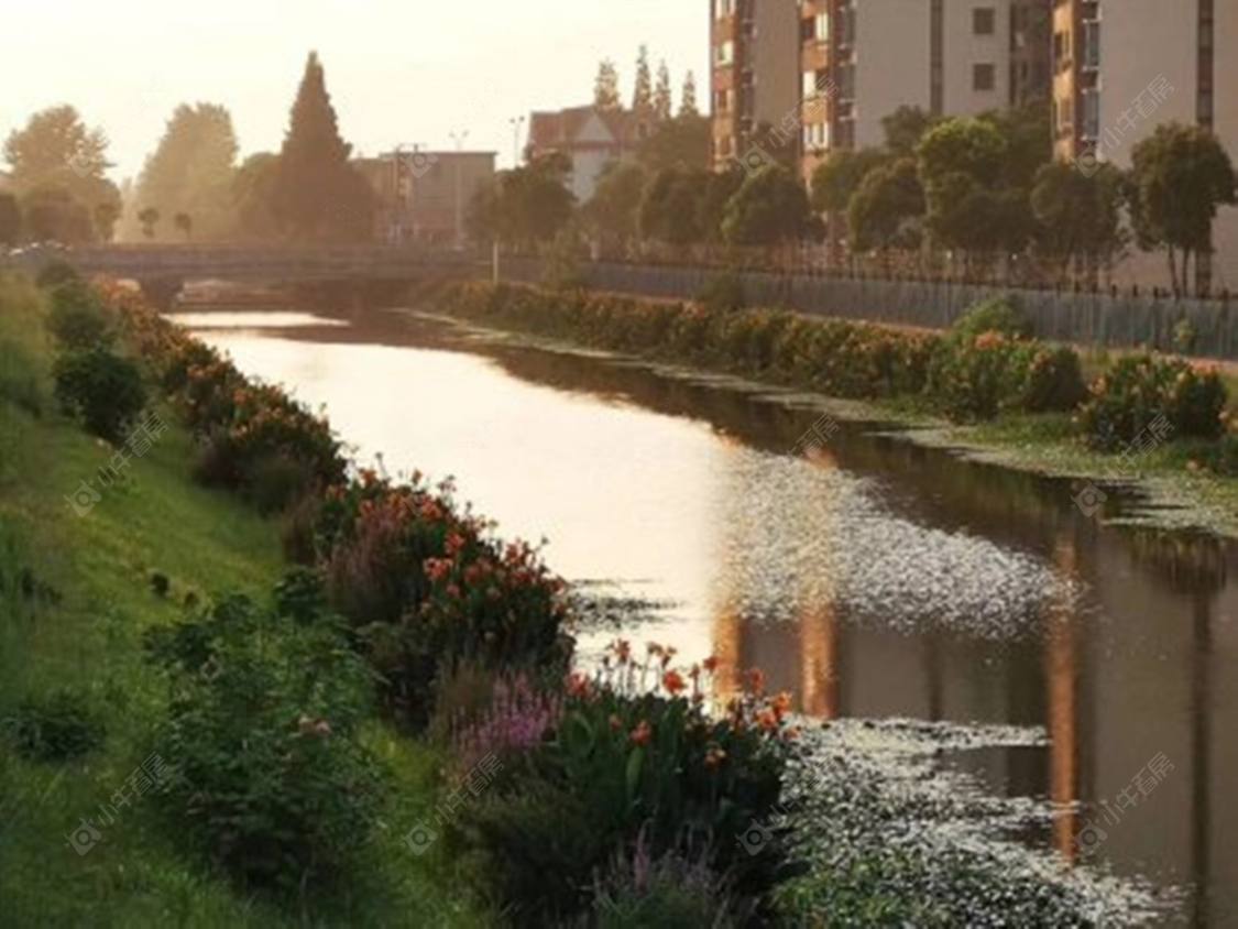 上海杨北中心村东区小区_杨北中心村东区小区null