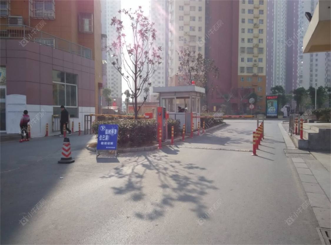 上海横沙岛新民镇公房小区_横沙岛新民镇公房小区null