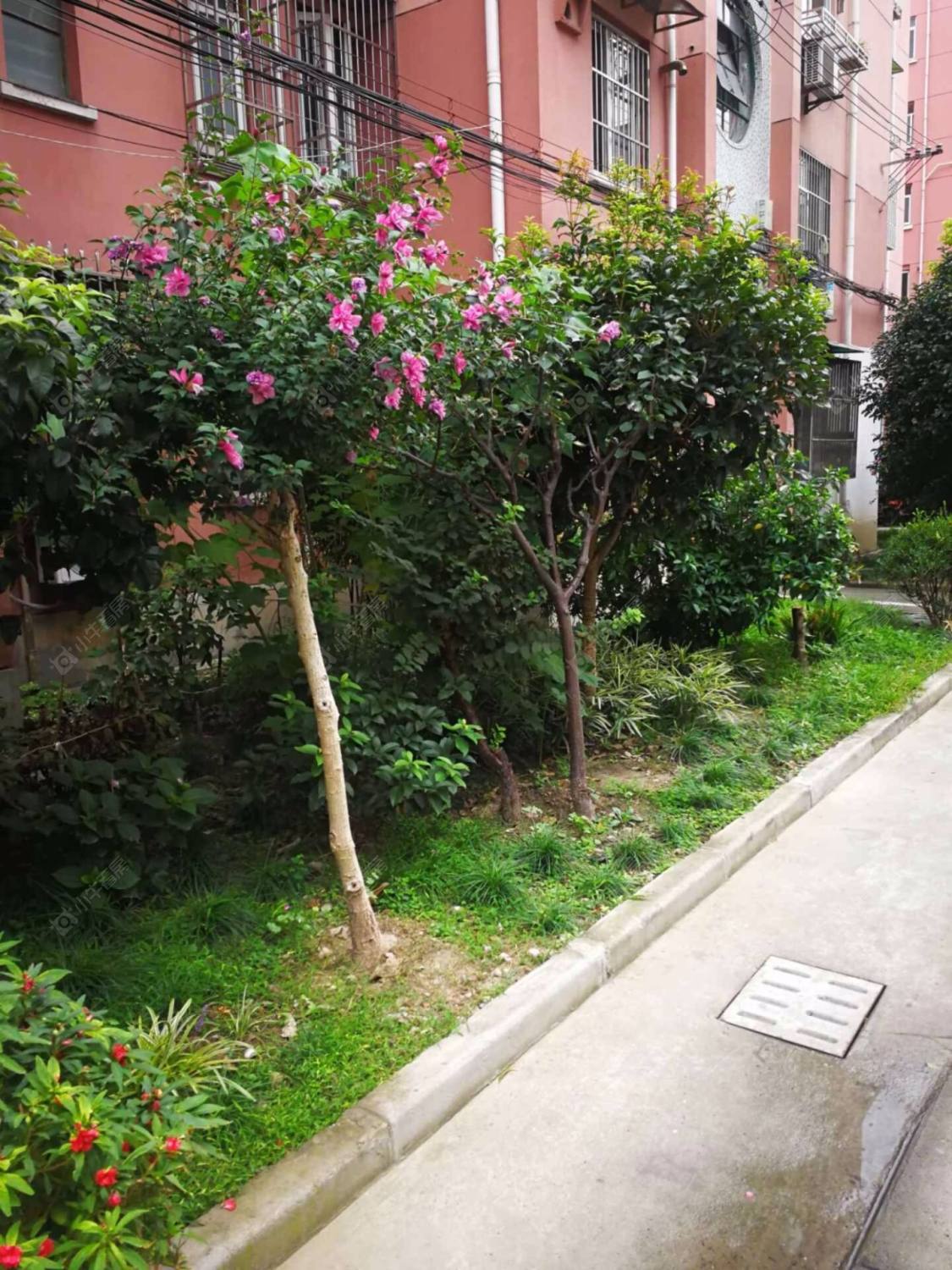 上海平阳三村小区_平阳三村小区null