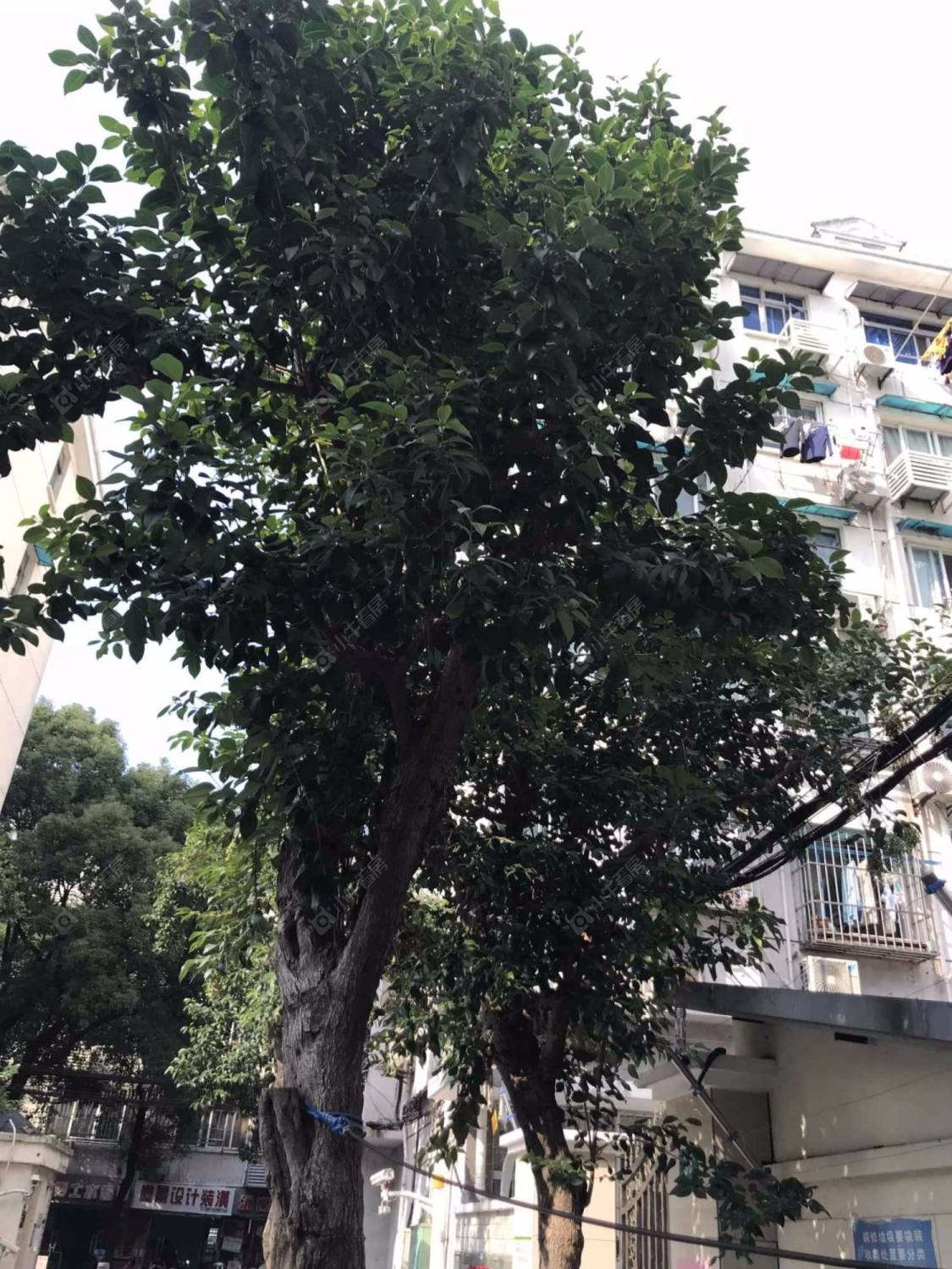 上海沂南路54弄小区_沂南路54弄小区null