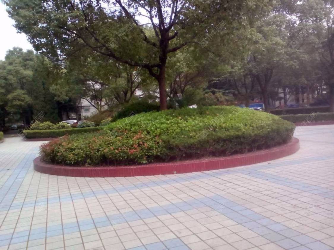 上海宝山九村小区_宝山九村小区null