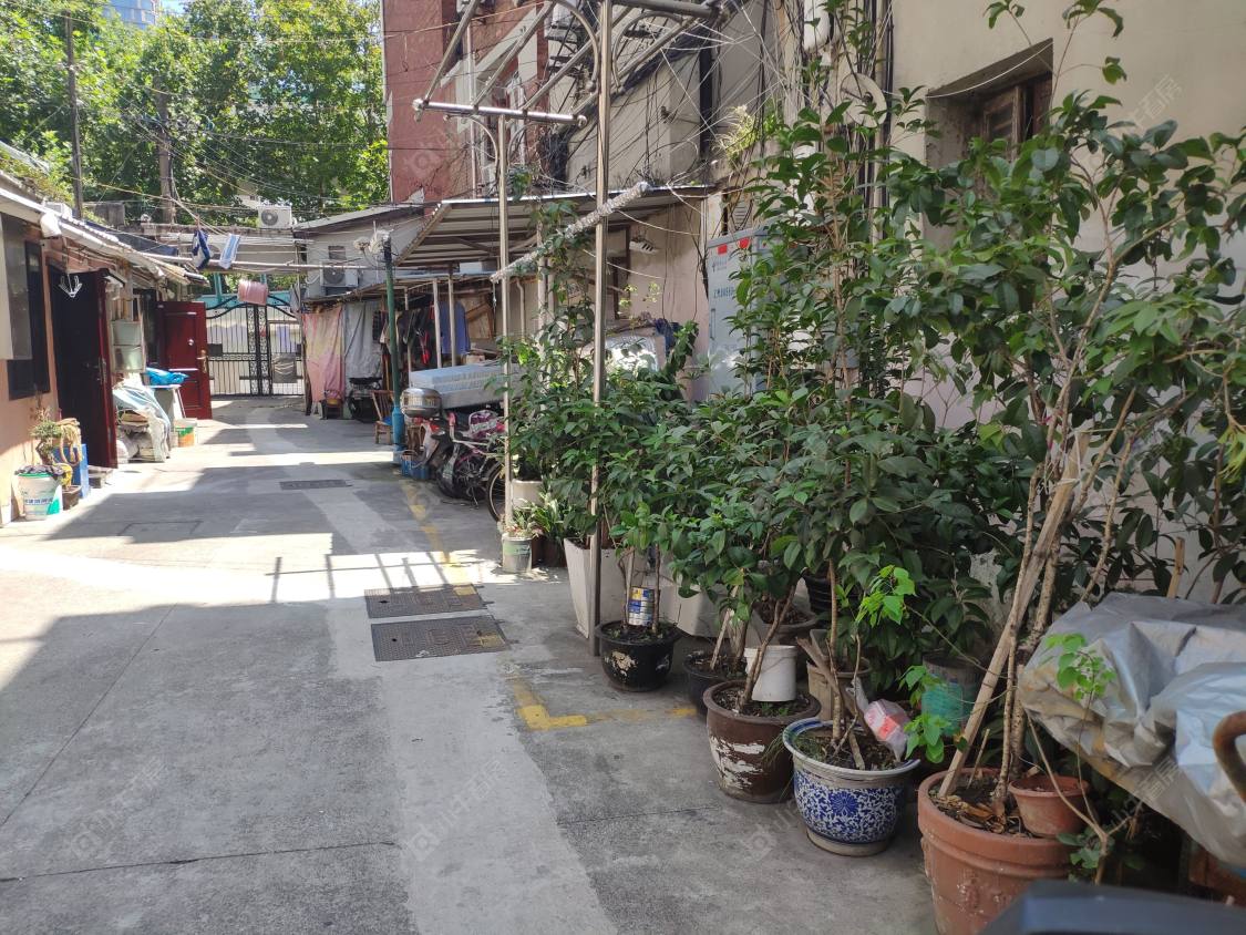 上海兴安路小区_兴安路小区null