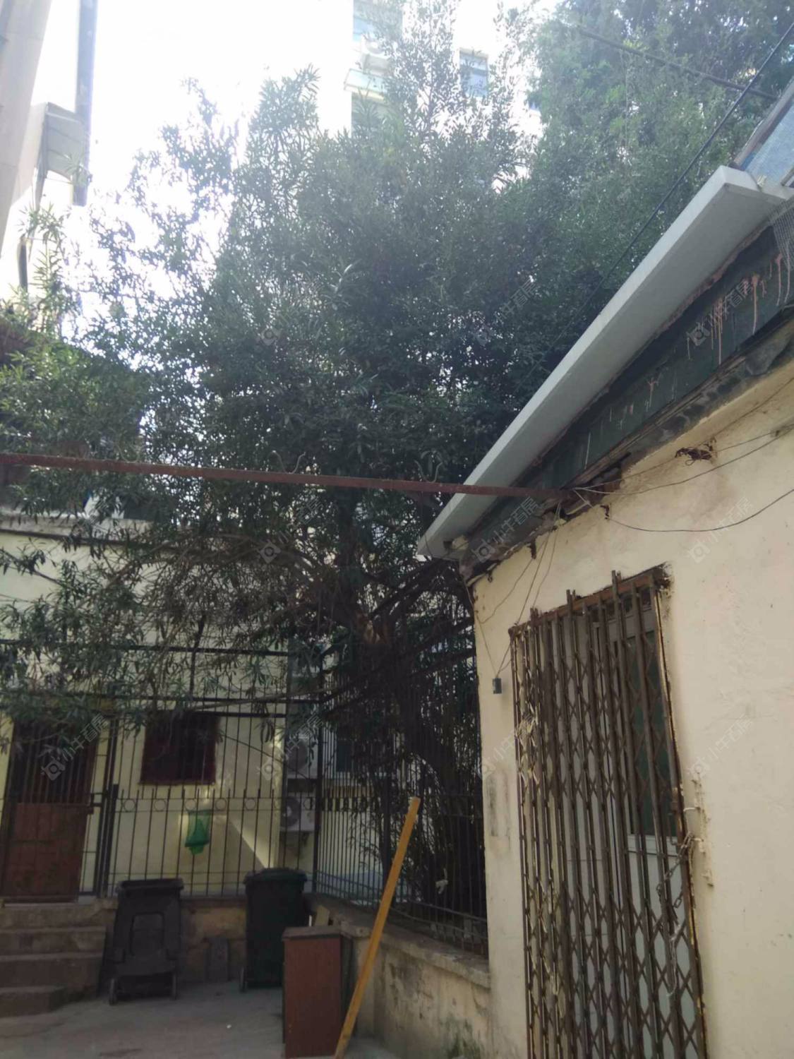 上海宁波路74弄小区_宁波路74弄小区null