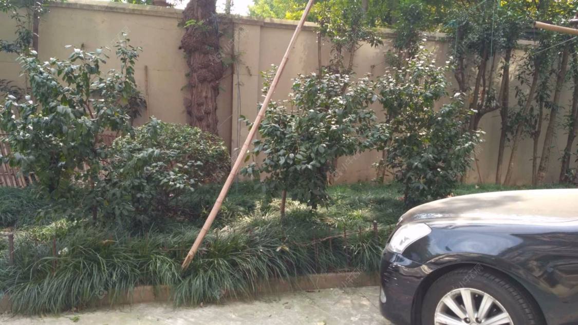 上海白尔登公寓小区_白尔登公寓小区null